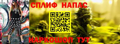 гидра Тула