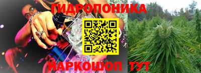 прущие грибы Туймазы